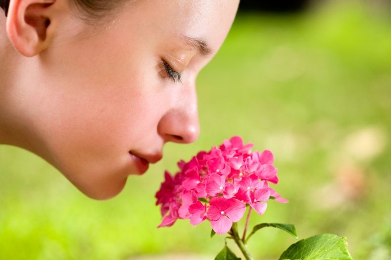 The Human Nose Has the Capability of Detecting a Trillion Smells