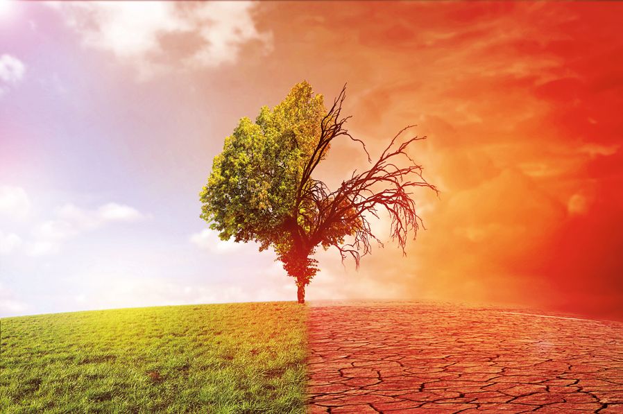 Climate change predicts a variety of future scenarios