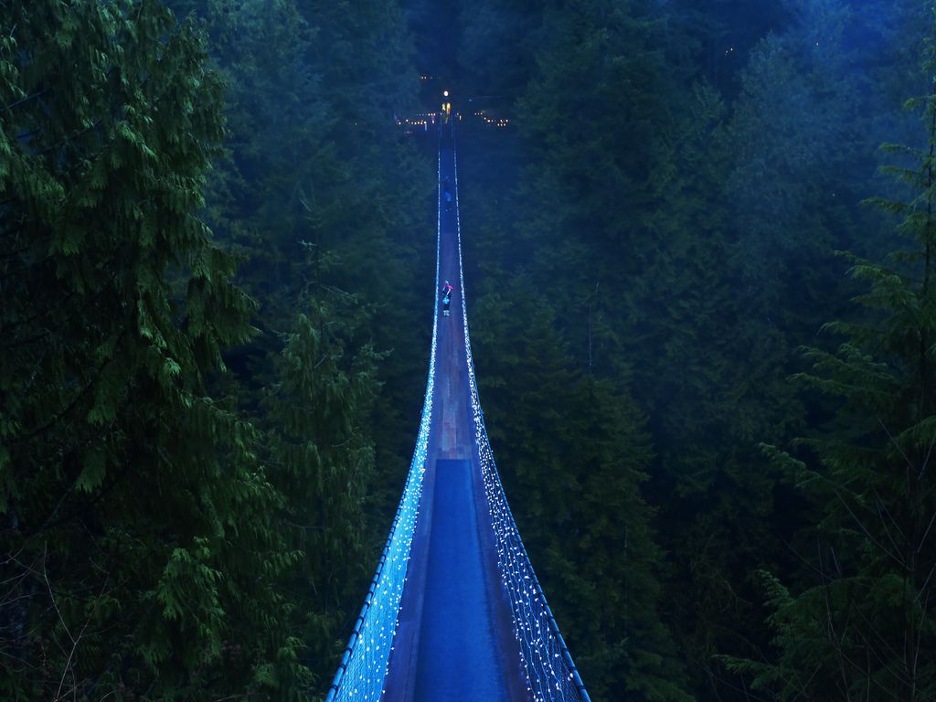 Capilano Suspension Bridge, Vancouver, British Columbia