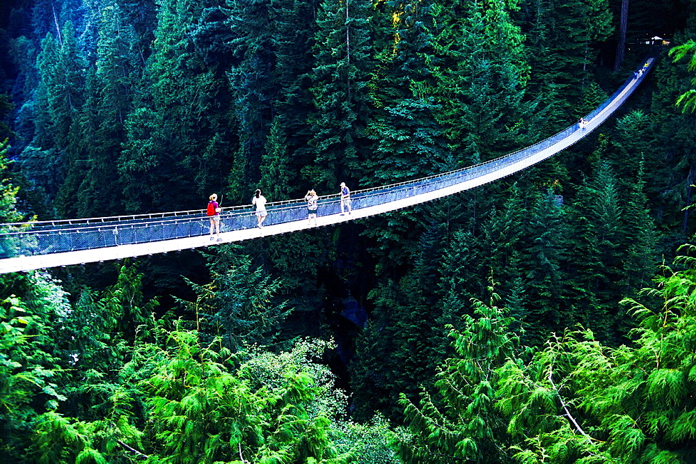 Capilano Suspension Bridge, Vancouver, British Columbia